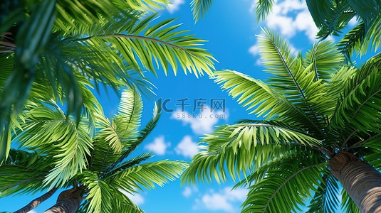 热带棕榈叶在蓝色夏日天空下的 3d 渲染