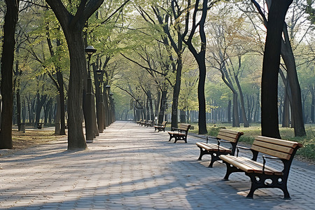 有有背景图片_公园里有一排树的长凳和长凳