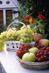 贵腐葡萄背景图片_新鲜水果葡萄和苹果用作花园篮