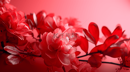 花卉红色装饰画