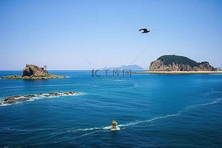 海洋灯塔背景图片_一只鸟飞过几个小岛之一附近的海洋