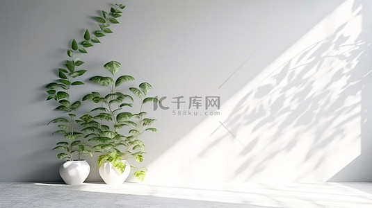 空白墙壁背景与阳光和树叶阴影的 3D 渲染