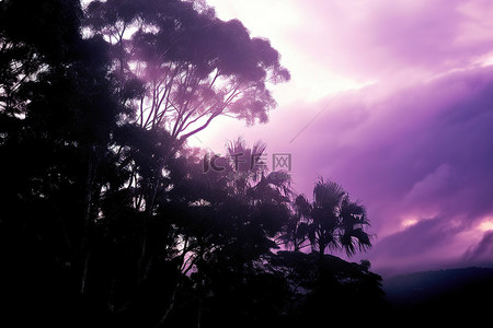 透过紫色的云朵和树木可以看到暴风雨的天空