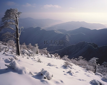 从丰山山看中国冬天的雪景