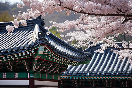 韩式石锅背景图片_具有韩式屋顶的传统建筑