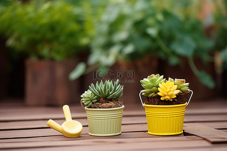 pc水桶背景图片_色彩鲜艳的水桶与植物