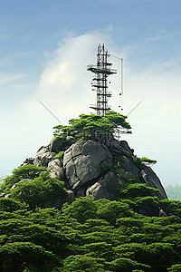 这张照片显示了一个手机塔，上面有一棵绿树