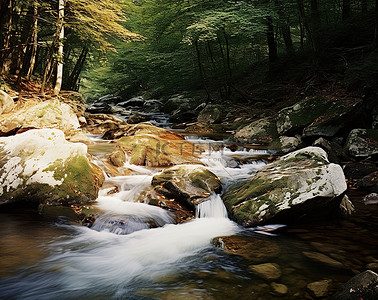 古诗瀑布背景图片_岩石森林，水流过岩石