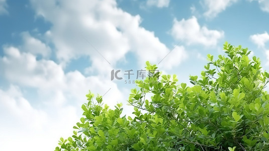 天空多云背景图片_绿树冠特写在多云的天空下，在 3D 插图中拥抱自然和风景