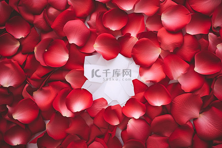 玫瑰花瓣玫瑰背景图片_一张空白的复印纸，周围环绕着红色的玫瑰花瓣