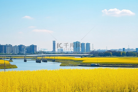 秋天，韩国城市南部有黄田河和一条河