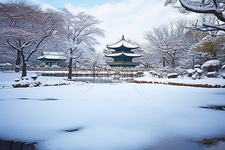 池塘和雪在树下 韩国 韩国 韩国 照片来自 flickr