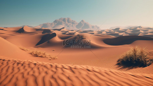 植树天空背景图片_热带干旱地区沙漠蓝色