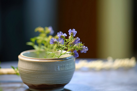 手工陶瓷盆和野草莓花