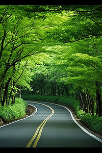 乡间路背景图片_一条绿色的乡间小路，绿叶