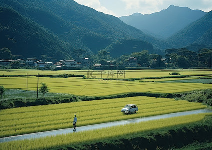 以山为背景的路上的稻田