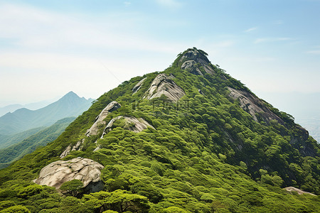 虎峰 虎头山 香港