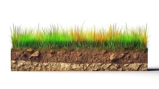 白色背景地质下土壤和绿草的孤立横截面的 3D 渲染