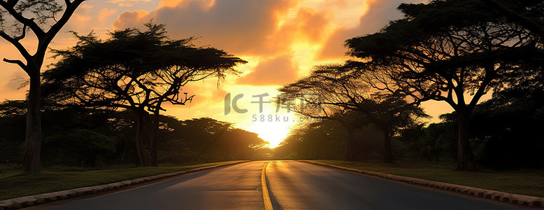 照片显示太阳落在树下空荡荡的道路后面
