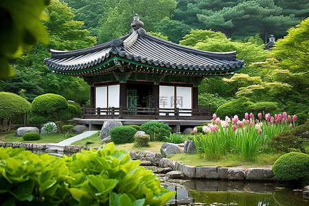 绿色多彩热带花园中的传统韩国房屋