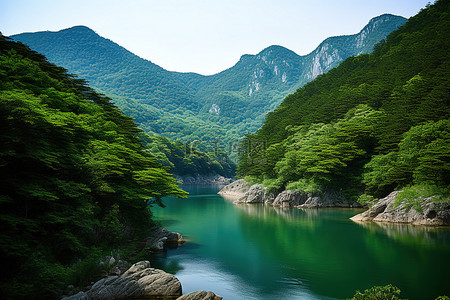 水玉背景图片_一座被茂盛的绿树覆盖的山