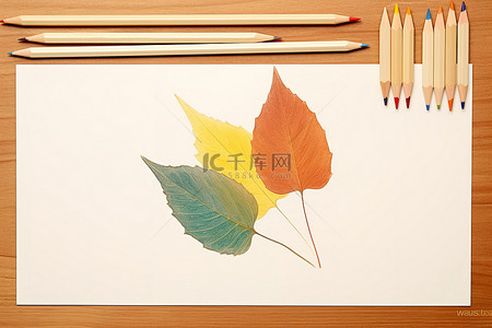 一堆纸，上面有不同颜色的铅笔和一片叶子