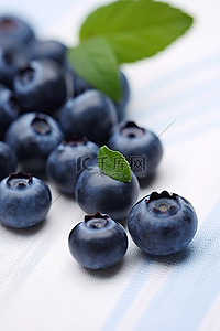美团店铺水果招牌背景图片_白色织物背景上的一些蓝莓，带叶子