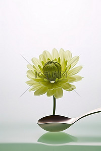 一朵绿花背景图片_一朵绿花坐在勺子上