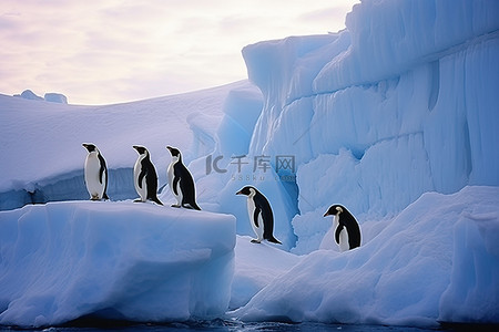 企鹅坐落在冰山上