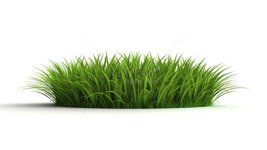 3d 渲染孤立的白色背景与一块绿草
