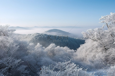 山城背景图片_山上的树木被霜覆盖