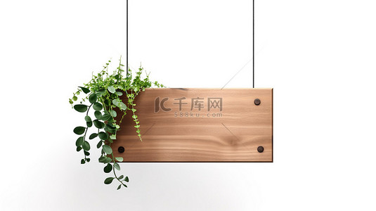 公告栏框架背景图片_空的木制悬挂标志，在 3D 渲染的白色背景上有创意空间和美丽的花卉细节