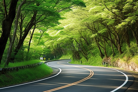 夏天森林风景背景图片_穿过森林的风景优美的道路