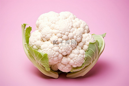 粉红色背景的花椰菜具有健康生活的正确特性