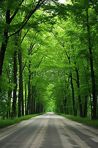 都都背景图片_一条空旷的道路，两旁都是树木