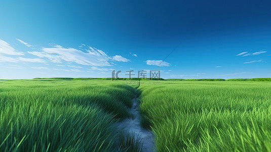 3D 渲染中蓝天背景下的大自然画布郁郁葱葱的绿草地