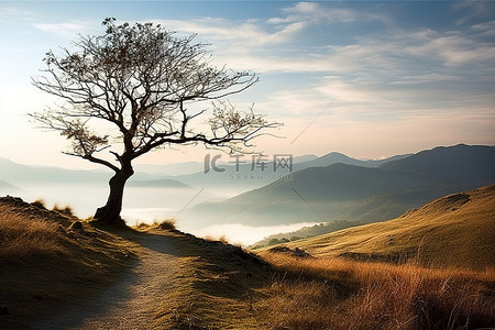 黑银城市夜景背景图片_树木风景山日出冬天秋天