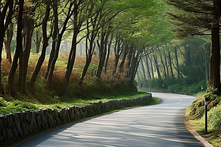 路边理发背景图片_一条岩石路，路边两旁都是树木