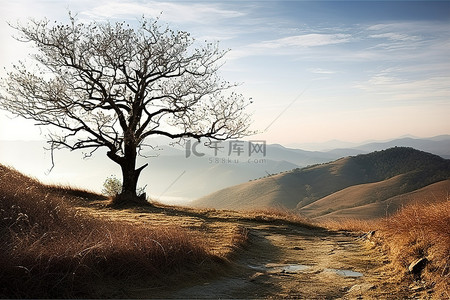 黑银城市夜景背景图片_树木风景山日出冬天秋天