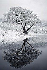 雪湖倒映在雪天