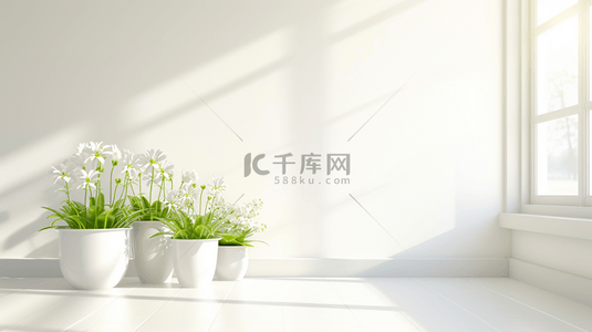 白色简约室内场景清新花瓶盆栽的背景10