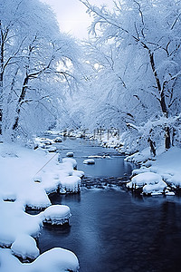 雪花落背景图片_当雪落在河上时，雪覆盖了树木