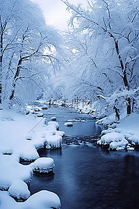 当雪落在河上时，雪覆盖了树木