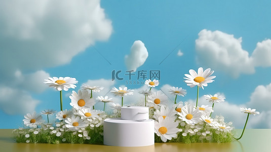享受 3D 夏季景观，云朵雏菊草叶和产品讲台逼真渲染