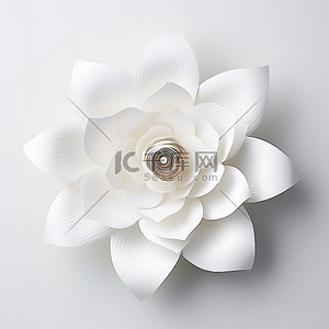 一朵白色的壁纸花，是一朵薄纸花