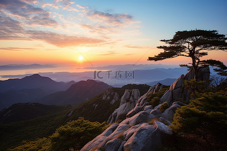 顺峰山公园背景图片_首尔山 ghangju 的日落