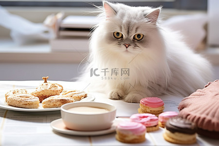 猫和咖啡背景图片_一只猫站在一杯咖啡和几块糕点旁边