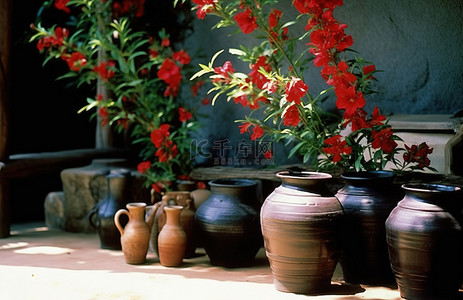 陶罐和红花附近的红芙蓉植物