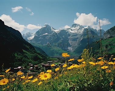 山顶上的一个村庄，中间矗立着一朵黄色的花