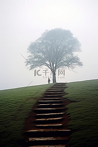 一个年轻人走下山前的台阶，山上有一棵孤立的树
